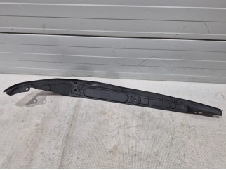Front Weather-Strip (Left)